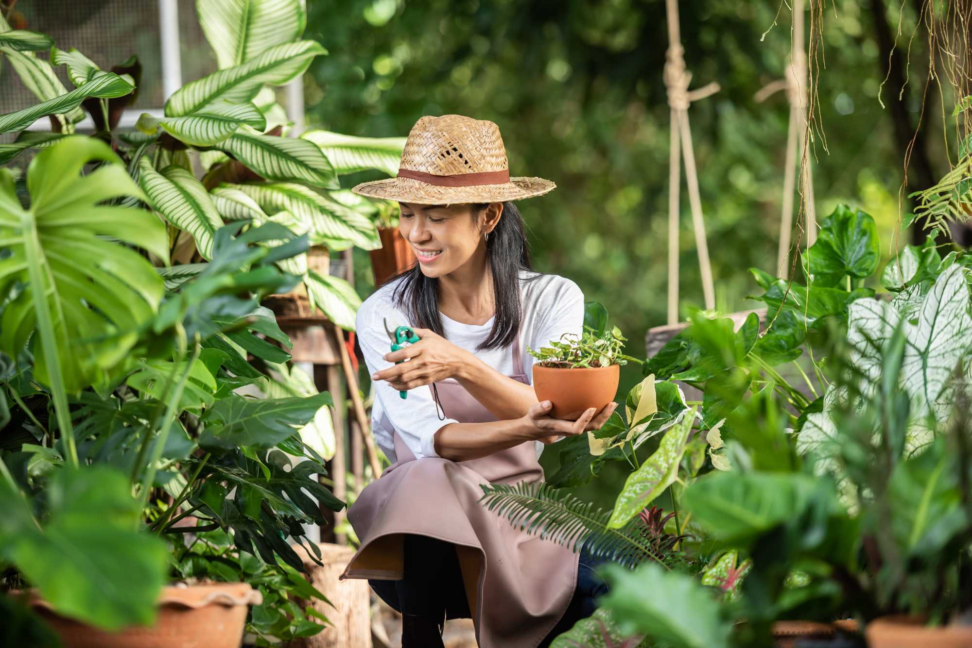 Gardener tending to plants in a garden bed